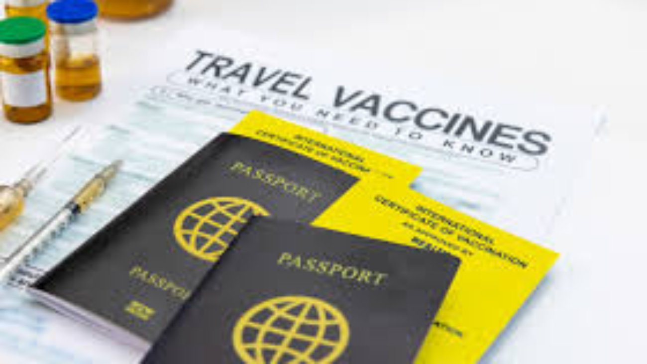 Travel vaccines1